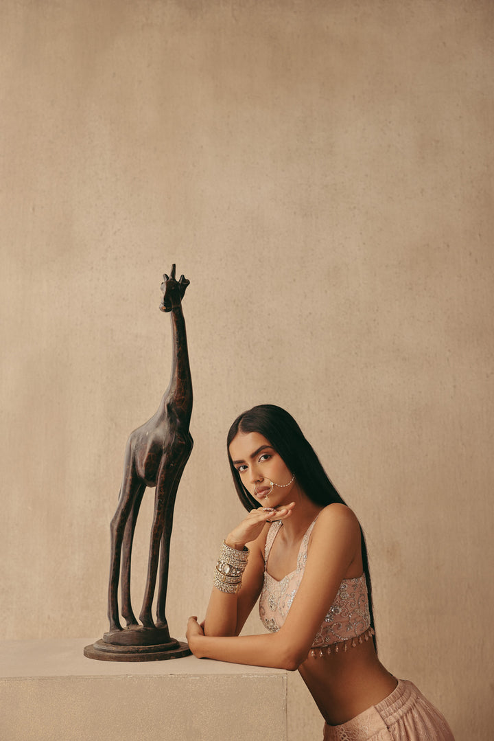 Mirrorwork Cape Sleeves Jacket