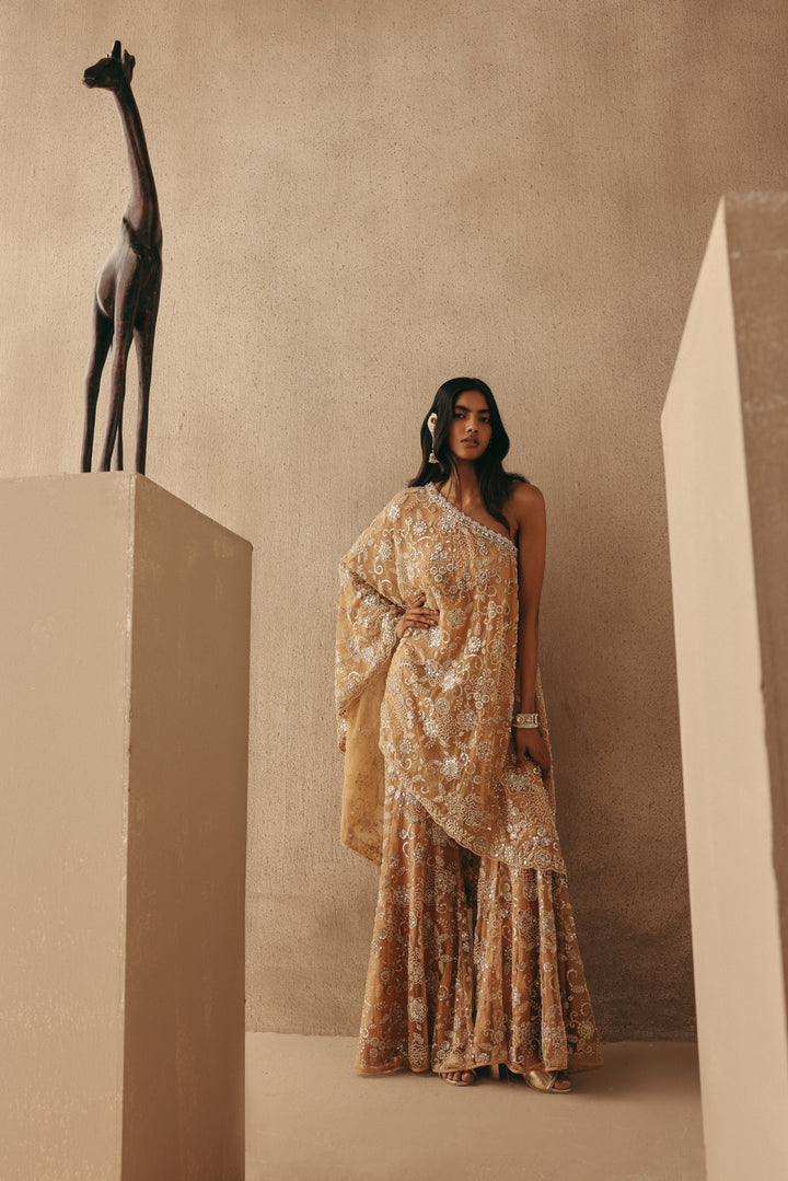 Mirrorwork One Shoulder Dress Jacket