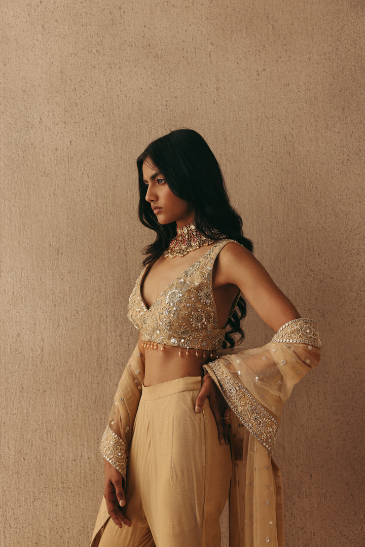 Mirrorwork Asym Sherwani