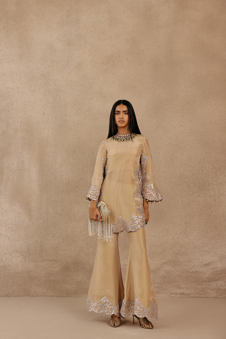 Zero Neck  Silver Zari Mirrorwork Tissue Applique Kurta With Flared Rounded Sleeves