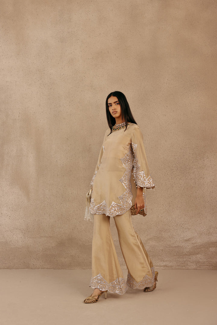 Zero Neck  Silver Zari Mirrorwork Tissue Applique Kurta With Flared Rounded Sleeves