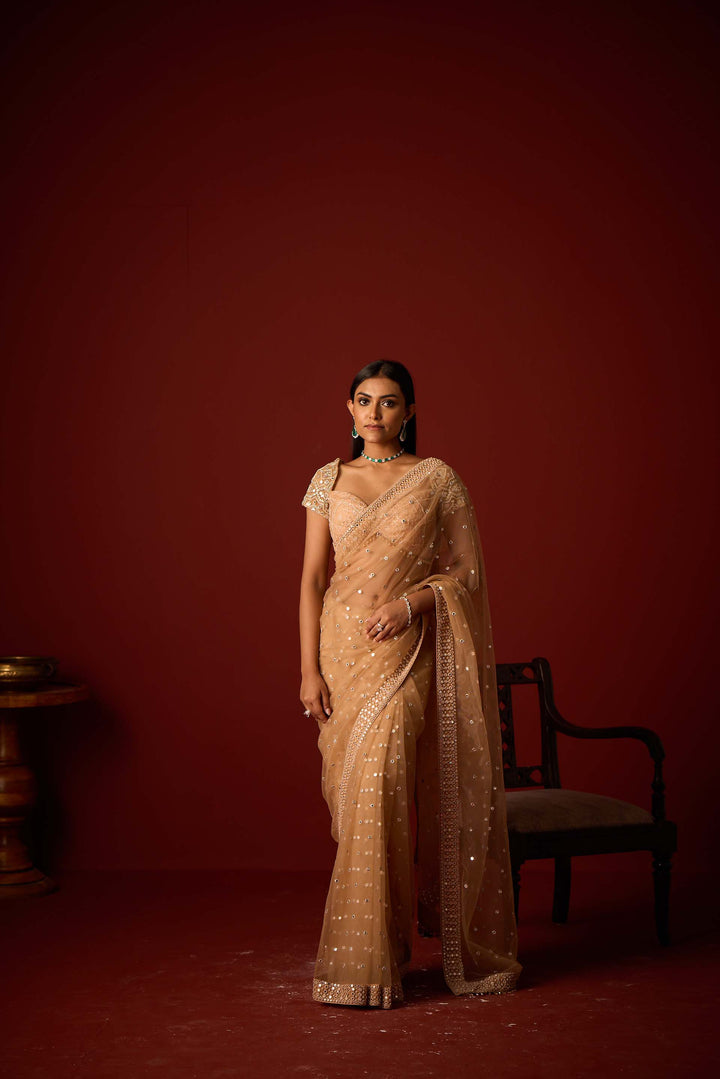 Net Mirrorwork Embellished Saree With Mirrorwork Beadwork Blouse