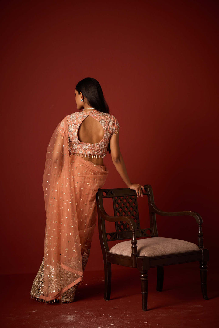 Net Mirrorwork Embellished Saree With Mirrorwork Beadwork Blouse