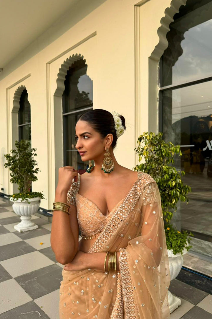 Shruti Chauhan in our Net Mirrorwork Embellished Saree With Mirrorwork Beadwork Blouse
