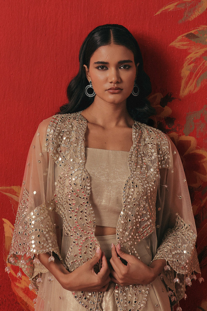 Tulle Mirrorwork Overlay