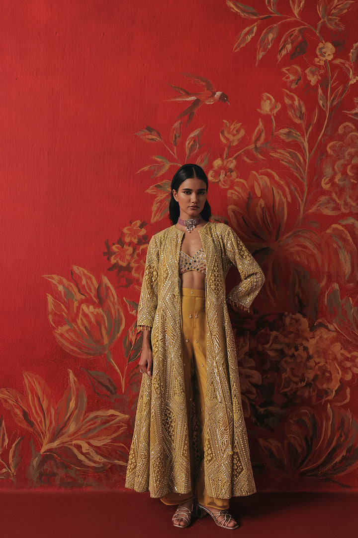 Long Anarkali Jacket With Side Panels