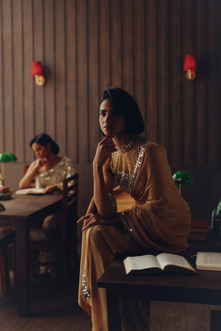 Georgette embellished saree with mirrorwork blouse