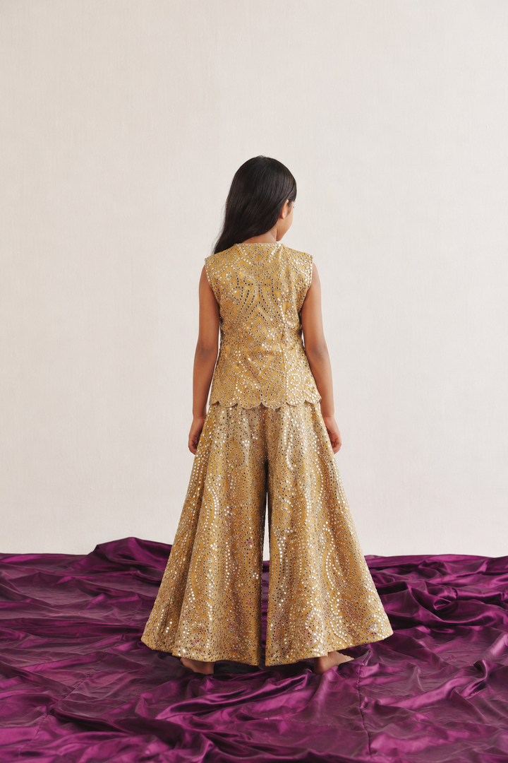 Gilet with Dual Color Flared Shararas